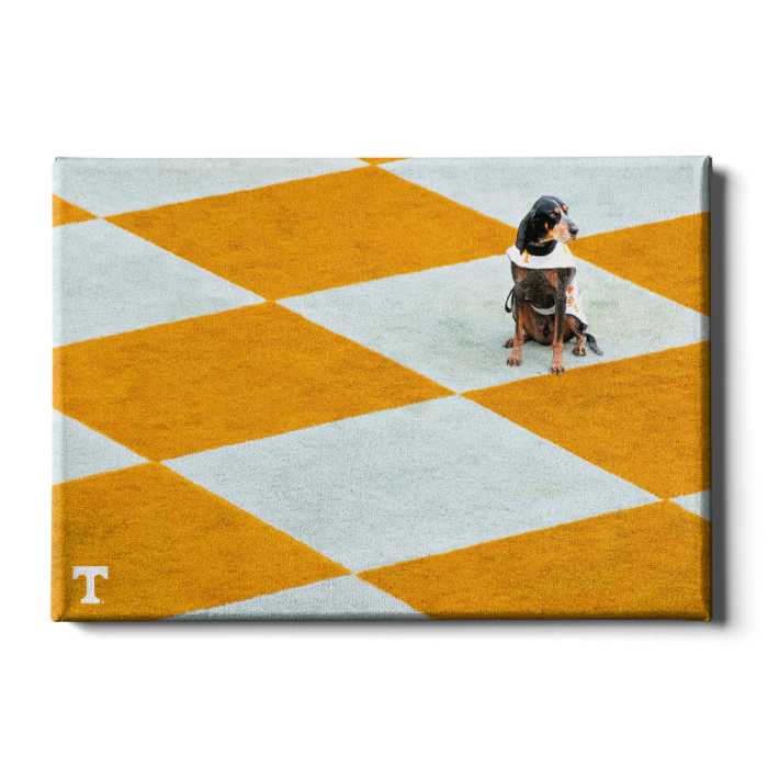 bacc790769c04cda7ae10f1befeb46bb.png